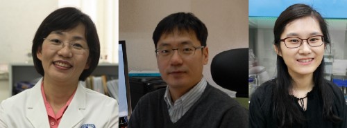 윤계순, 우현구 아주대 의대 교수(왼쪽부터)와 이영경 연구강사. - 한국연구재단 제공